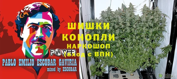 Альфа ПВП Елизово