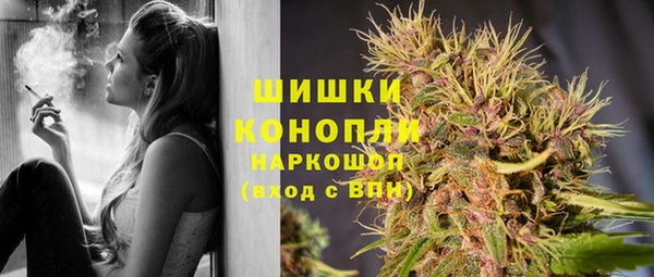 Альфа ПВП Елизово