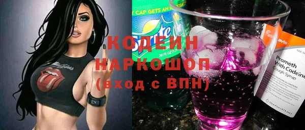 Альфа ПВП Елизово
