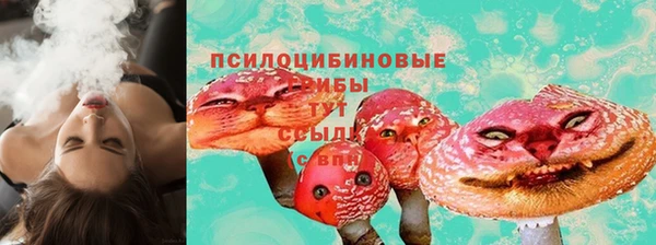 Альфа ПВП Елизово