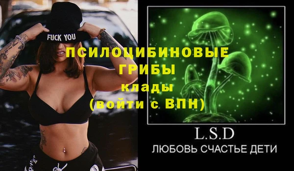 спиды Елабуга