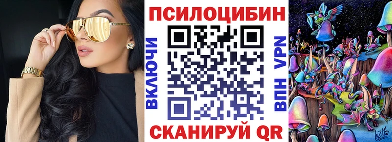 Купить Сольцы Псилоцибиновые грибы мицелий
